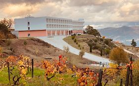 Plácido Hotel Douro - Tabuaço